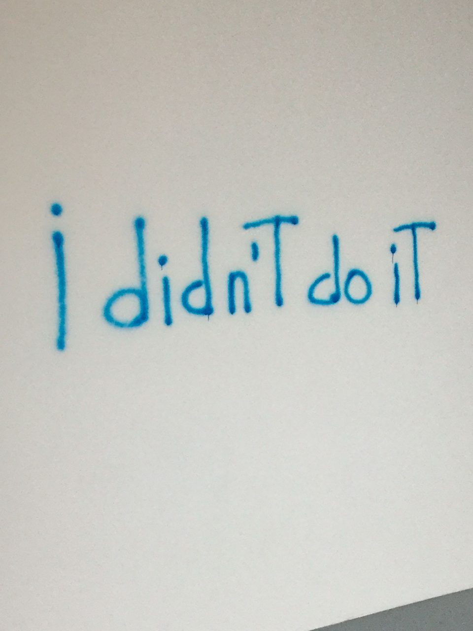 I-didn-t-do-it-by-Ria-Pacquée_foto-Marc-Vanrunxt