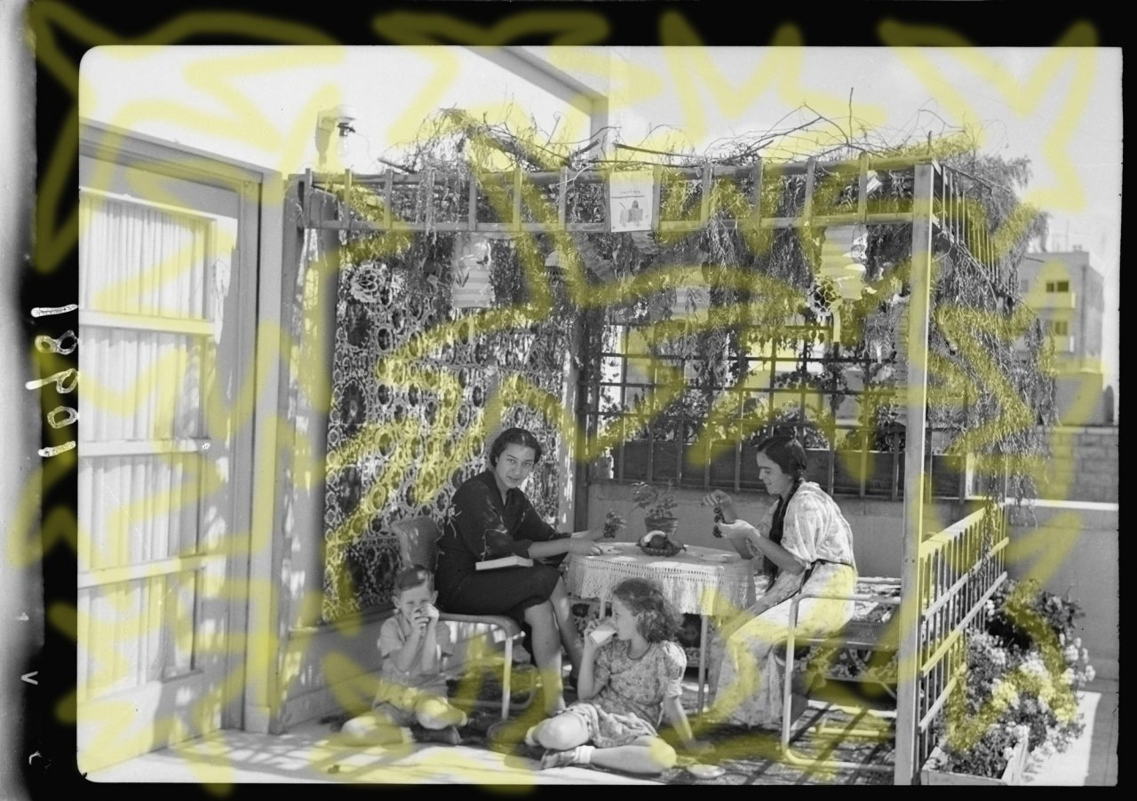 BassamFamilySukkahStars